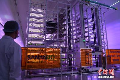 走進(jìn)智能植物工廠(chǎng) 無(wú)土無(wú)陽(yáng)光如何借數(shù)據(jù)處理培育美味佳肴