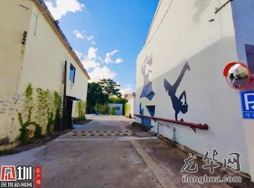 精進(jìn)業(yè)務(wù)基石 現(xiàn)代網(wǎng)站建設(shè)的關(guān)鍵要素與實施策略